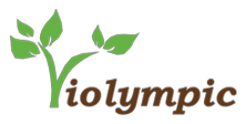 Logo Violympic